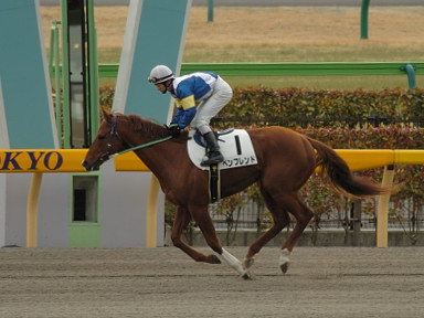 2006/02/12 東京08R