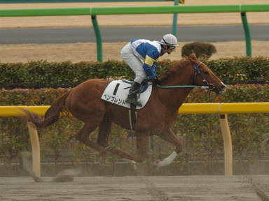 2006/02/12 東京08R