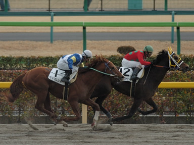 2006/02/12 東京08R