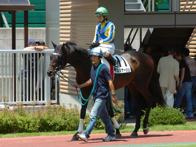 2005/07/23 新潟06R