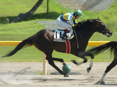 2005/07/23 新潟06R