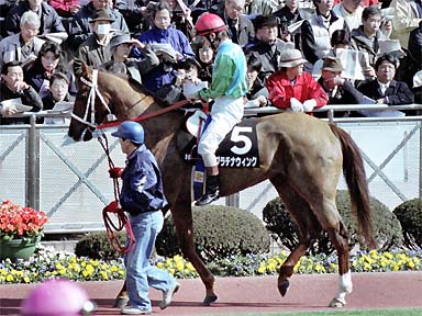 2001/03/10 中山09R