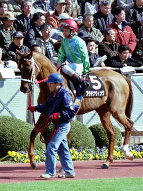 2001/03/10 中山09R