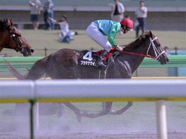 2001/05/19 東京10R