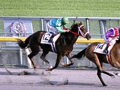 2002/05/25 東京12R