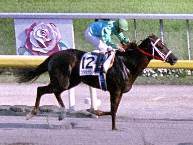 2002/05/25 東京12R