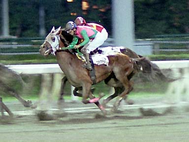 2002/09/14 大井10R