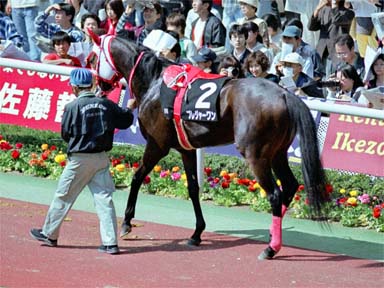 2001/04/07 阪神09R