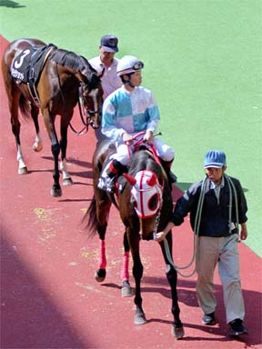 2001/04/07 阪神09R