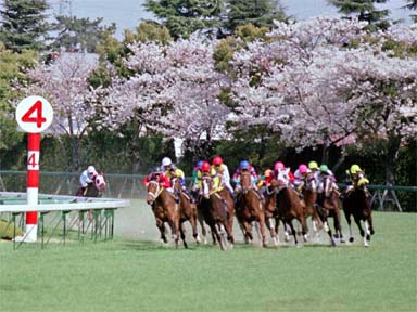 2001/04/07 阪神09R