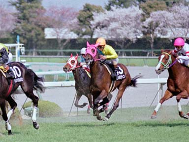 2001/04/07 阪神09R