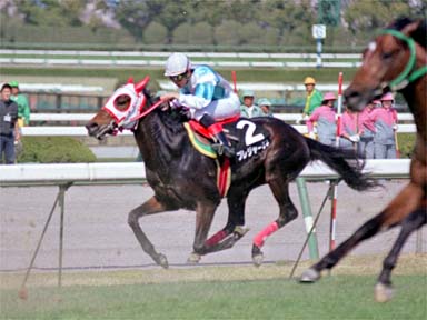 2001/04/07 阪神09R