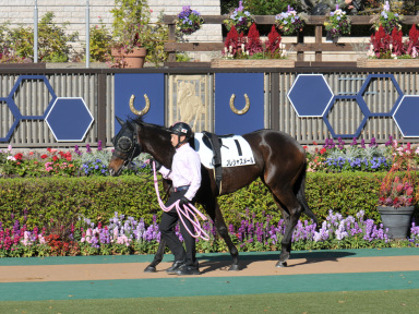 2020/11/22 ����08R