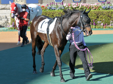 2020/11/22 ����08R