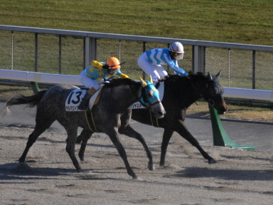 2020/11/22 ����08R