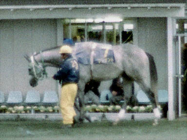 1993/11/21 水沢09R
