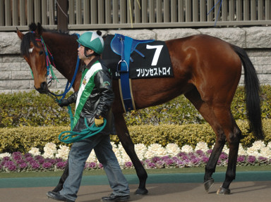 2009/02/22 東京09R