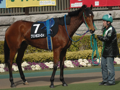 2009/02/22 東京09R