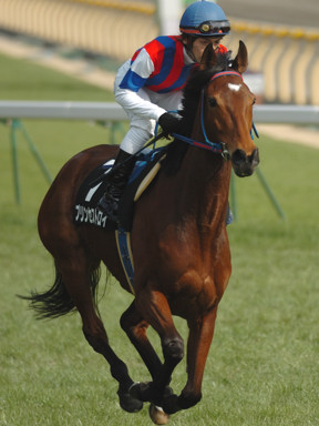 2009/02/22 東京09R