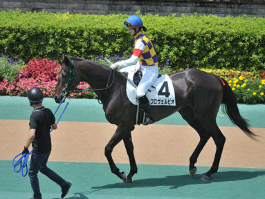 2018/06/23 東京07R