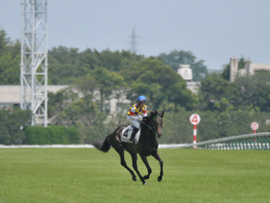 2018/06/23 東京07R