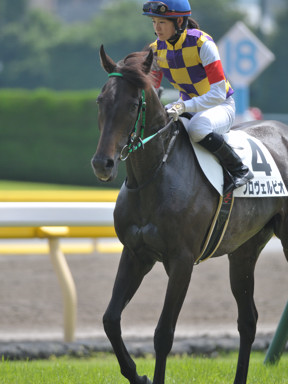 2018/06/23 東京07R