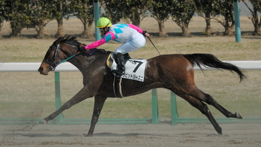 2008/03/08 中山08R