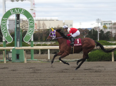 2016/12/28 園田10R