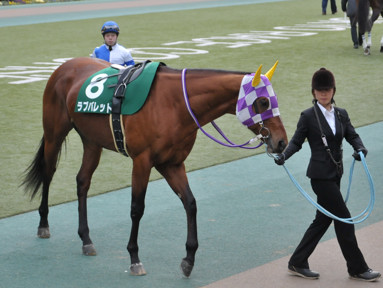 2017/01/29 東京11R