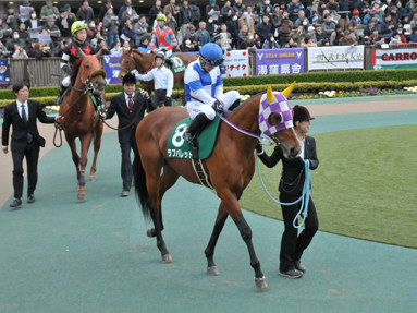 2017/01/29 東京11R