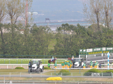 2018/11/04 京都10R