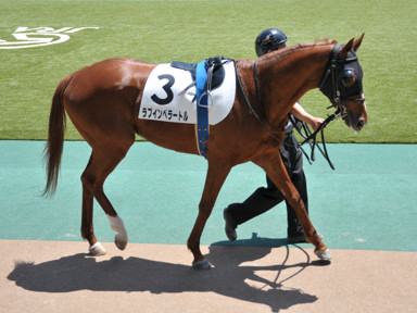 2014/05/17 東京06R