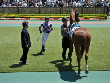 2014/05/17 東京06R