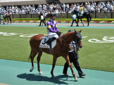 2014/05/17 東京06R