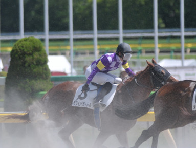 2014/05/17 東京06R