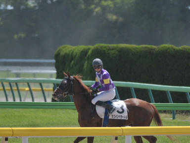 2014/05/17 東京06R