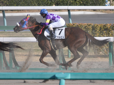 2011/01/16 中山08R