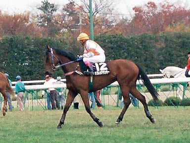 1998/11/22 福島09R