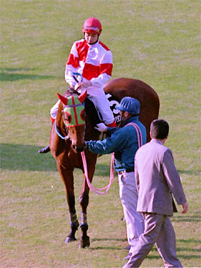 1999/11/20 東京10R