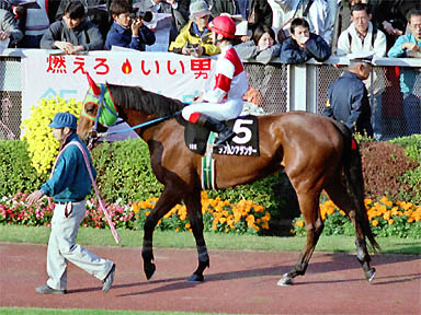 1999/11/20 東京10R