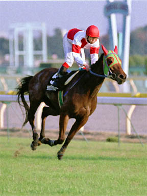 1999/11/20 東京10R