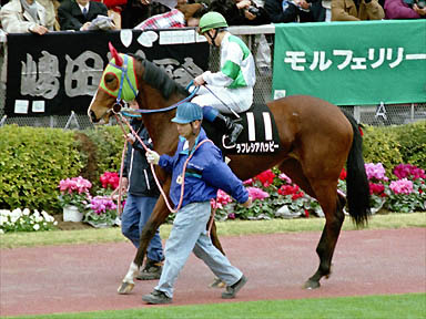 2000/02/13 東京09R