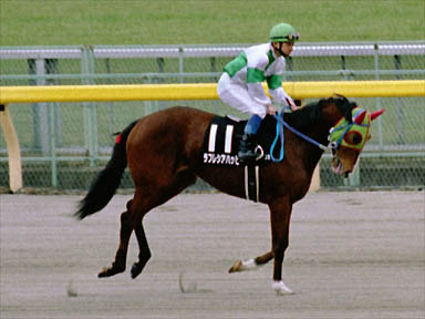2000/02/13 東京09R