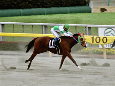 2000/02/13 東京09R
