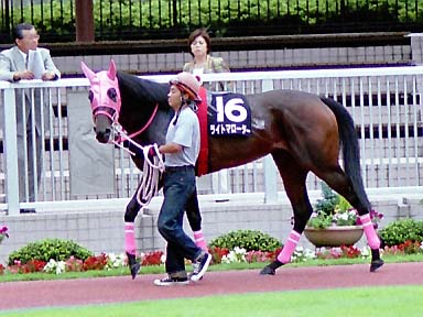 2002/07/14 新潟10R