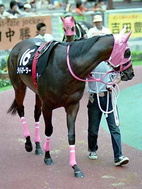 2002/07/14 新潟10R