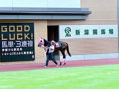 2002/07/14 新潟10R