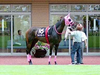 2002/07/14 新潟10R
