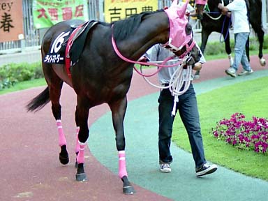 2002/07/14 新潟10R