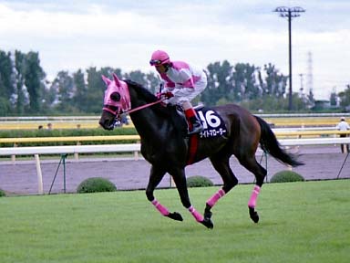 2002/07/14 新潟10R